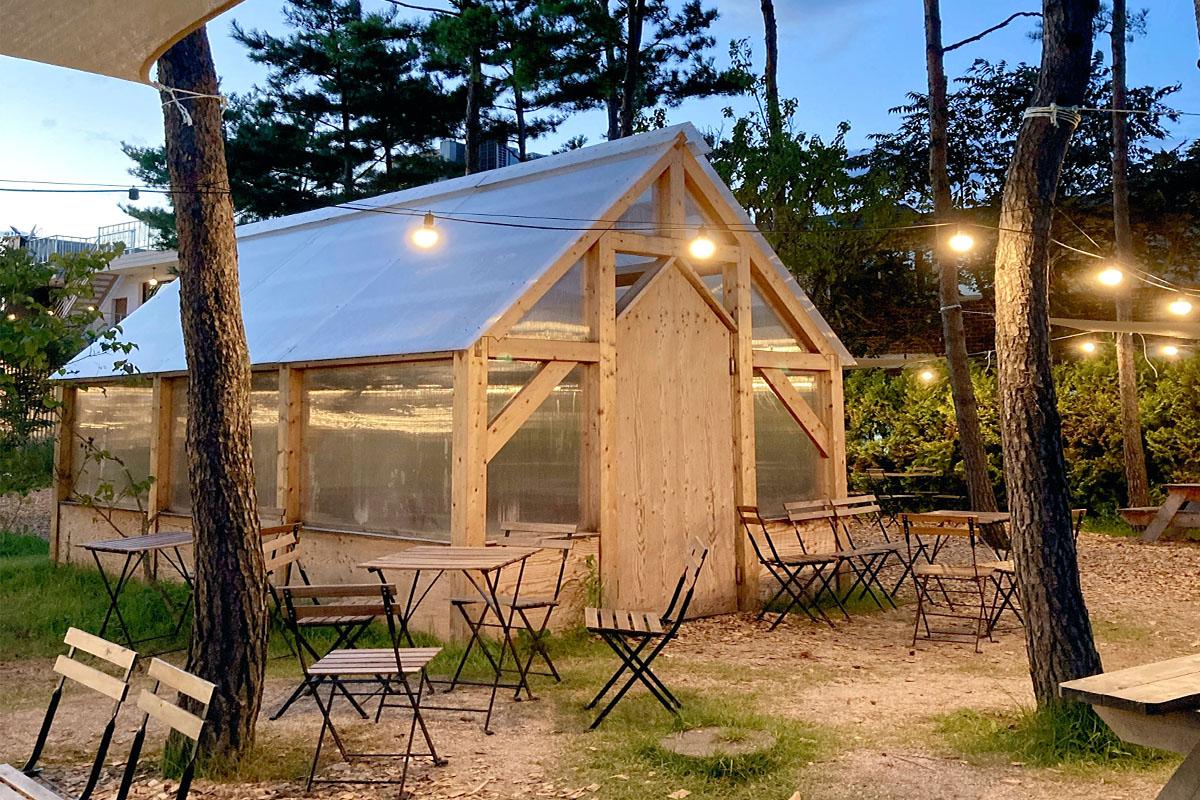 夜晚灯光点缀的马铃薯田咖啡厅，全透明的屋顶下设有桌椅，引人入胜。