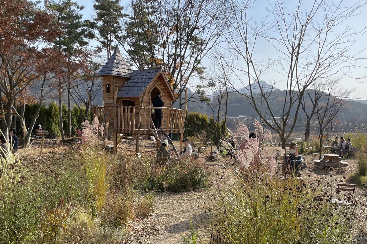 เที่ยวเกาหลี