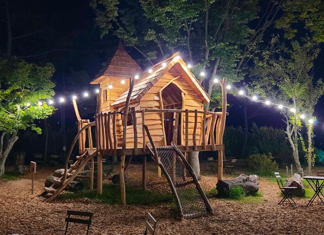 คาเฟ่ข้างในตอนกลางคืนที่มีแสงไฟสวยงาม, เส้นสายของไม้อันดั่งนิยายฟ้อง, ดอกไม้ในสวน และบรรยากาศอบอุ่นเหมาะสำหรับการเดทกลางคืน