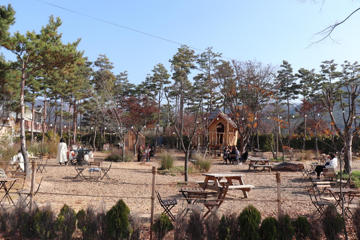 เที่ยวเกาหลี