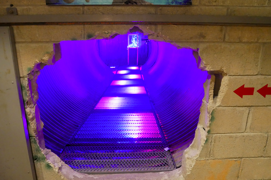 通往展區的獨特入口，透過紫色燈光打造成時空隧道的氛圍。