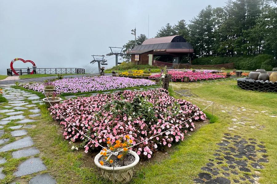 韩国 江原道 推荐住宿