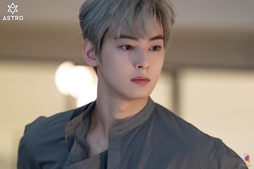 Creatrip: Why Cha Eun-Woo Is Referred To As 