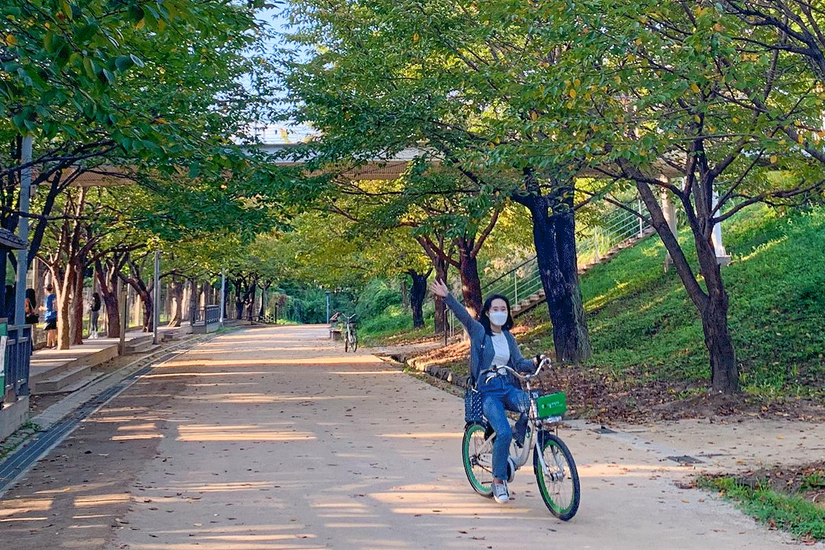 ソウルの森で、自転車に乗る楽しそうな人々。