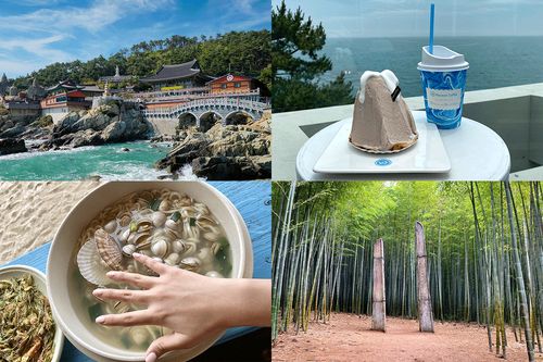 韓国、韓国旅行、韓国観光、釜山、プサン、釜山旅行、釜山観光、釜山カフェ、韓国カフェ、機張、キジャン、おすすめスポット、海鮮料理