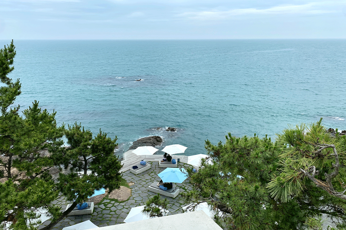 gijang busan korea, waveon coffee cafe