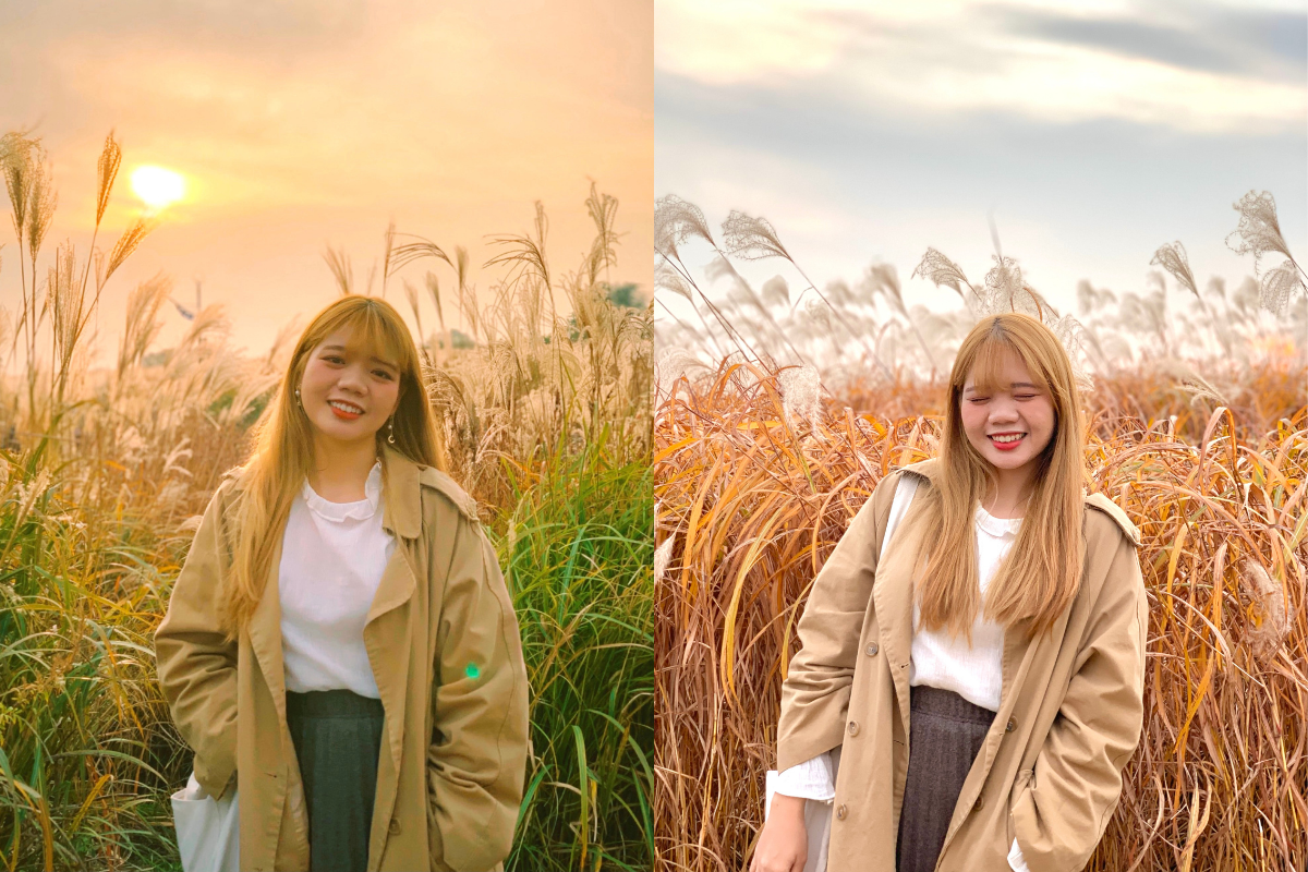 Haneul Park silver grass