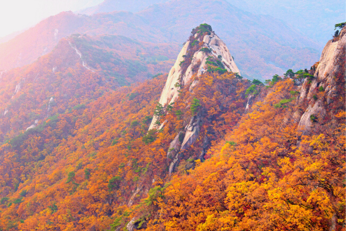 ปีนเขาขึ้นไปดูใบไม้แดง