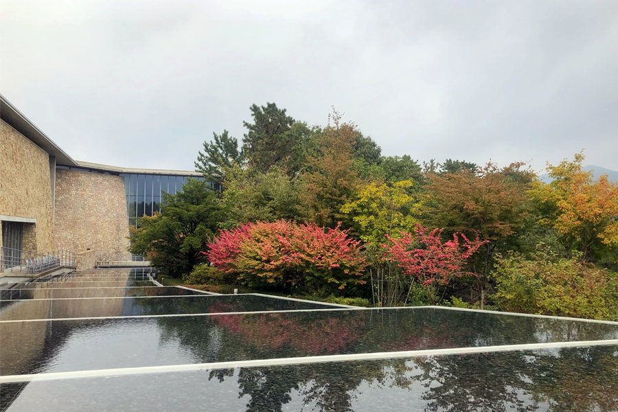 Museum SAN 交通方式 票价