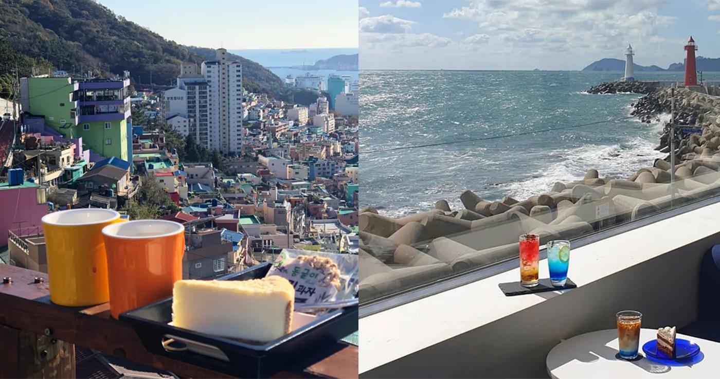 แนะนำคาเฟ่วิวทะเลในปูซาน