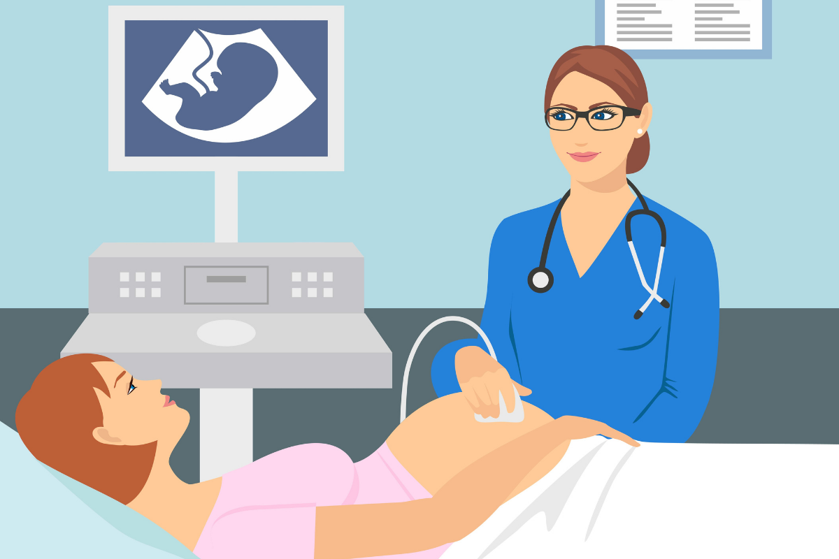 胎儿 性别 韩国法律规定