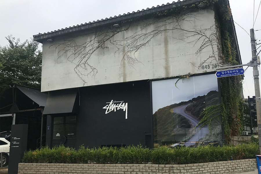 新沙洞/狎鷗亭購物