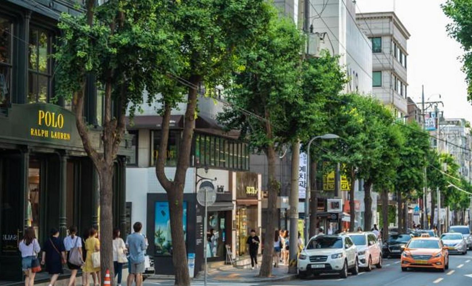 Tổng hợp đầy đủ thông tin du lịch Sinsadong và Apgujeong