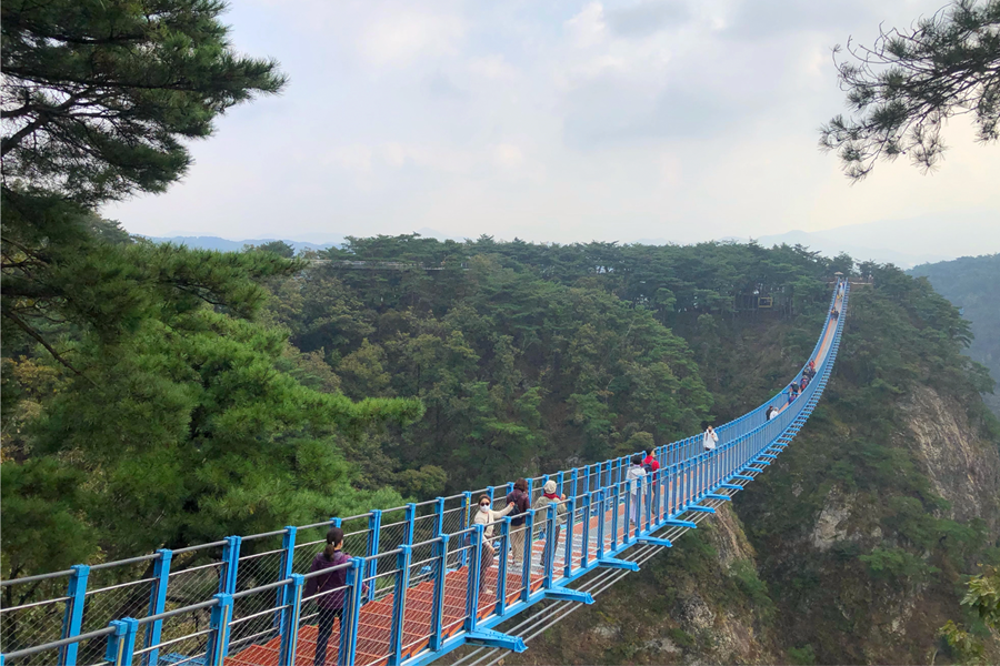 小金山懸索吊橋全景，展現壯觀的結構和遊客的冒險精神。