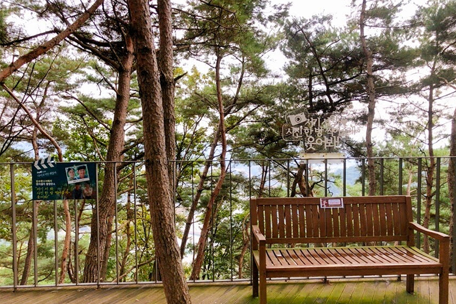 小金山懸索吊橋旁的休息區，提供遊客在森林中放鬆的空間。