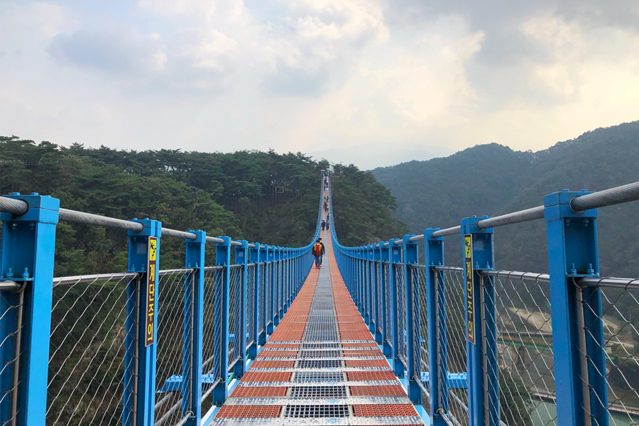 從懸索吊橋俯瞰遠景，雲霧中可見遠方的森林和山脈，令人心曠神怡。
