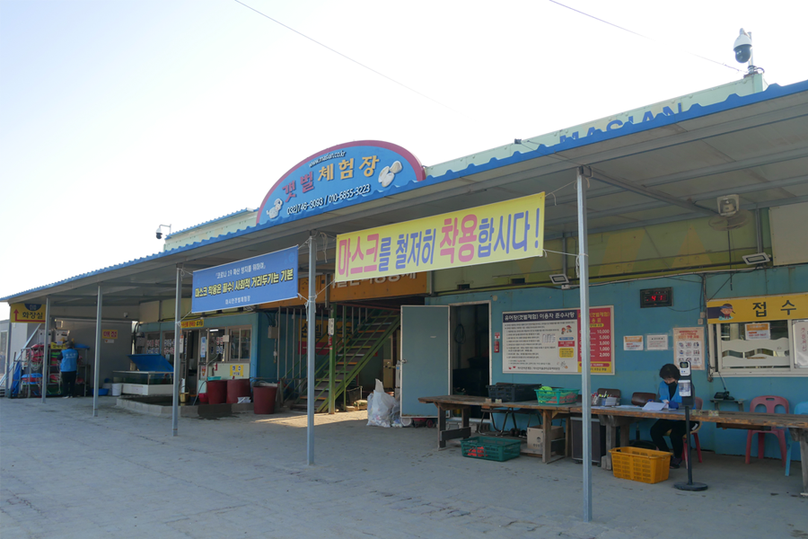 韩国旅游 推荐 仁川 永宗岛