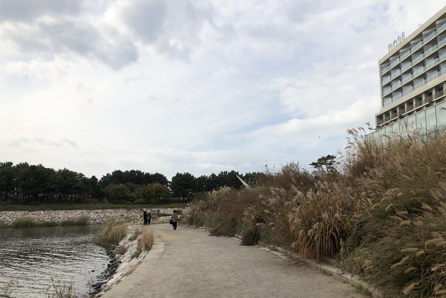 仁川推荐 住宿 仁川机场 2天1夜