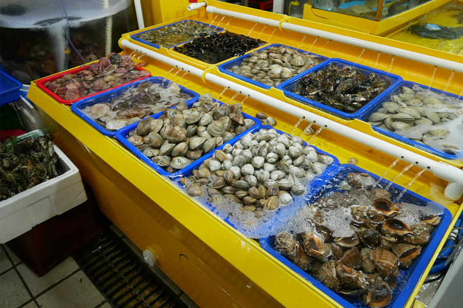 登机前行程 永宗岛 仁川