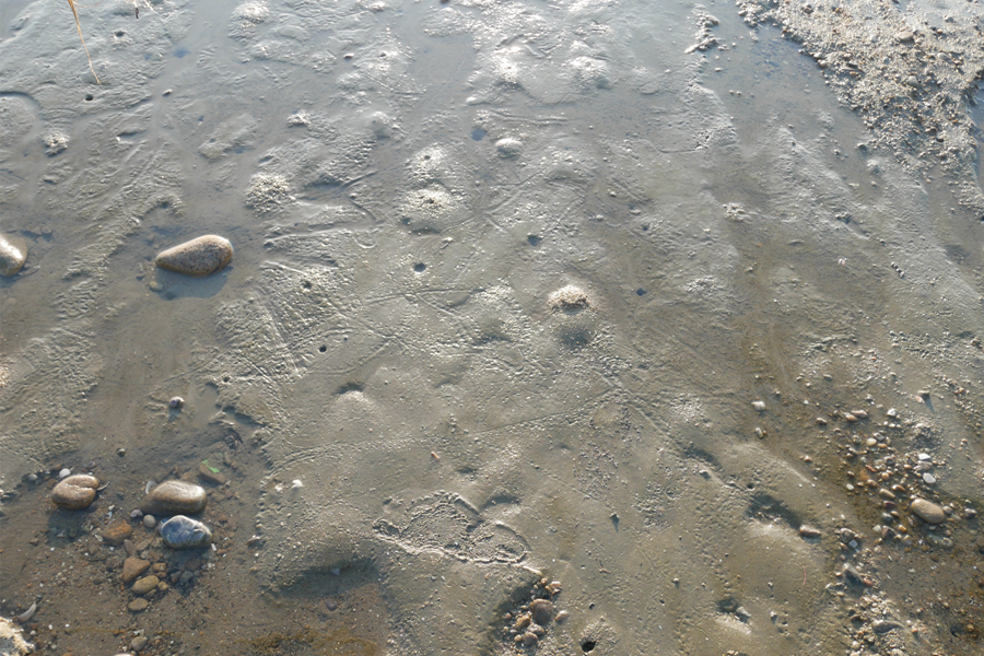 仁川机场 永宗岛 体验