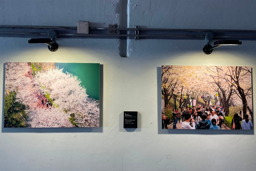 蠶室 石村湖 2025