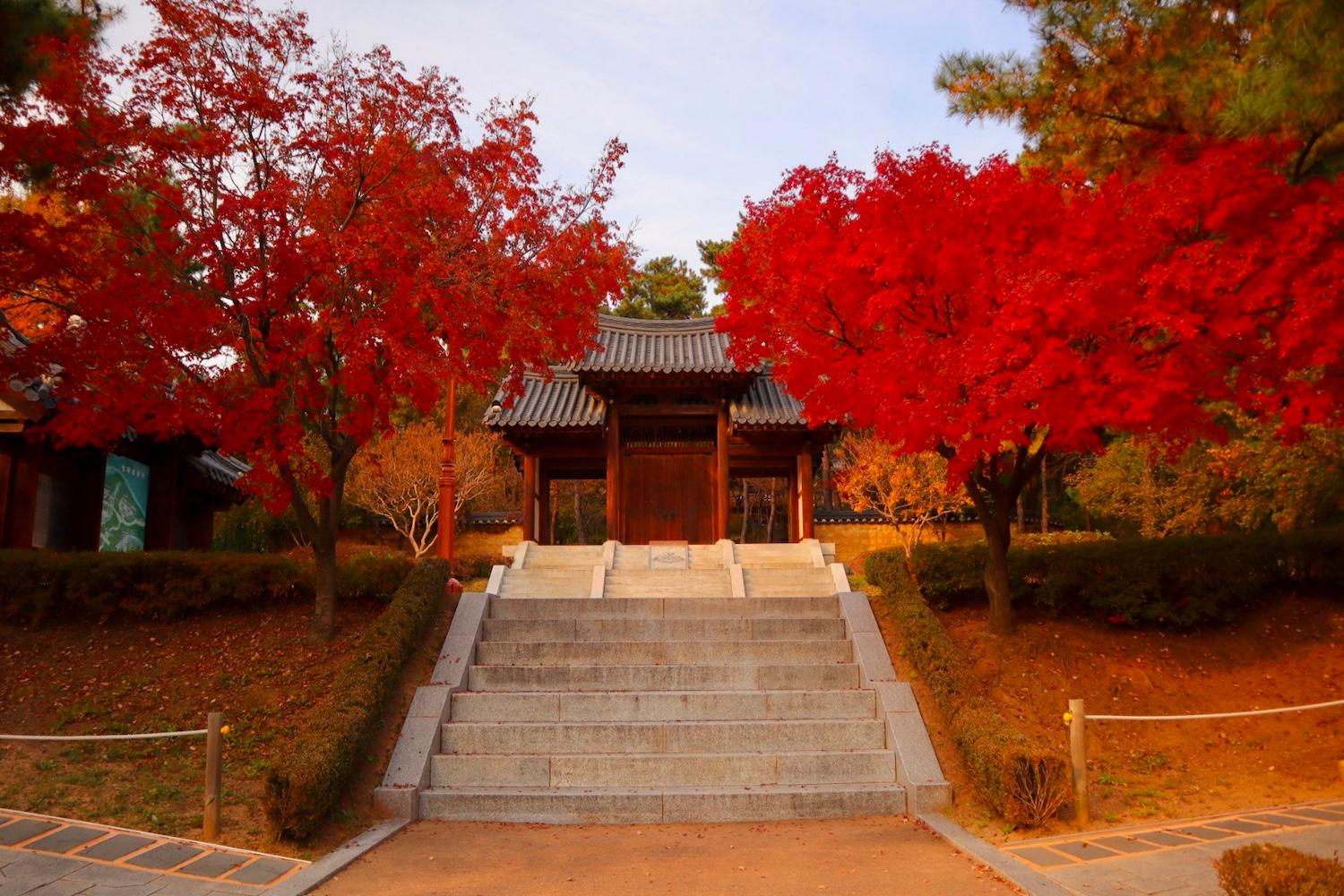 มหาวิทยาลัยเกาหลีสวย