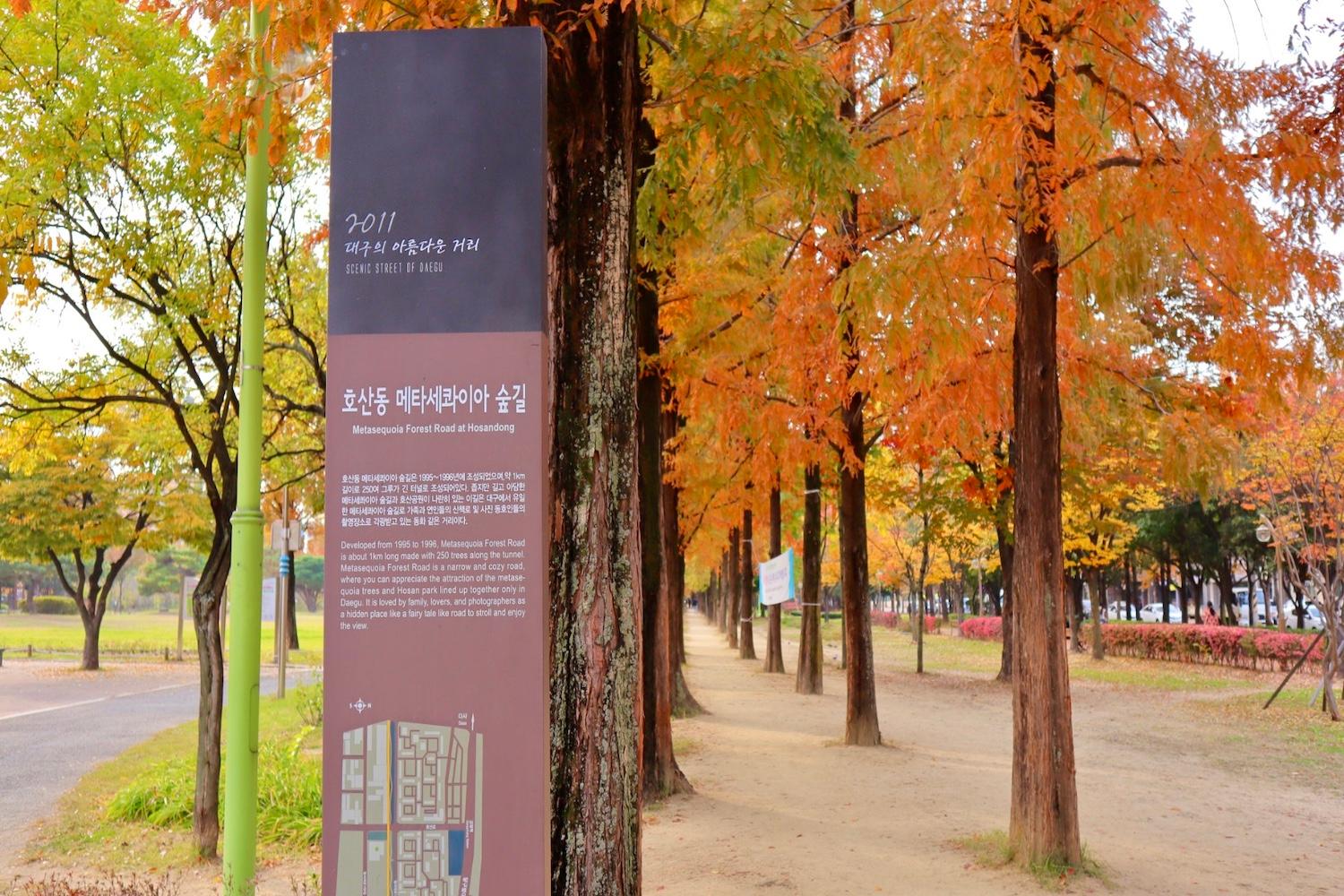 ฤดูใบไม้ร่วง