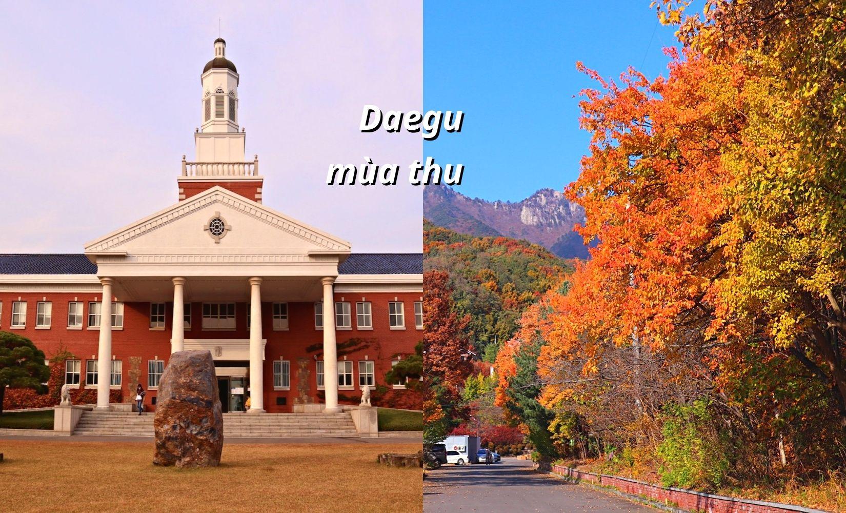 Top 6 địa điểm du lịch mùa thu đẹp nhất ở Daegu, Hàn Quốc