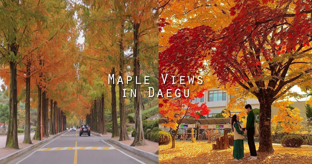 2022大邱賞楓懶人包