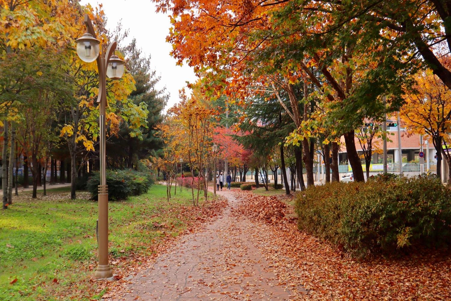 ฤดูใบไม้ร่วง