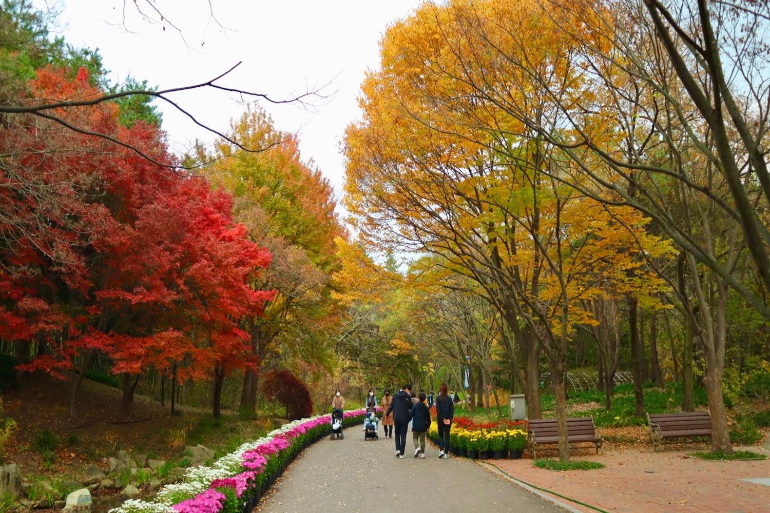 เที่ยวเกาหลี