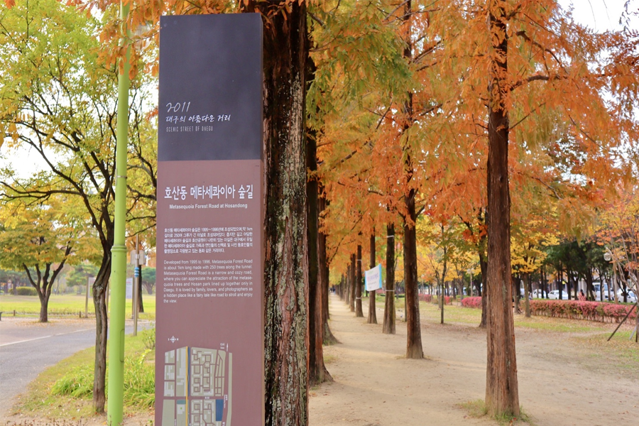 韓國 賞楓 私藏景點