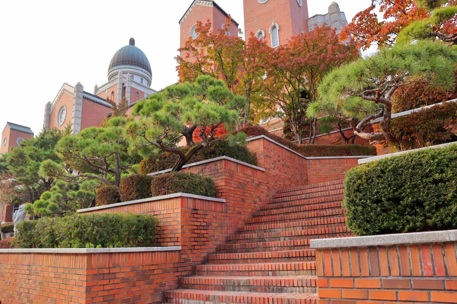 มหาวิทยาลัยเกาหลีสวย