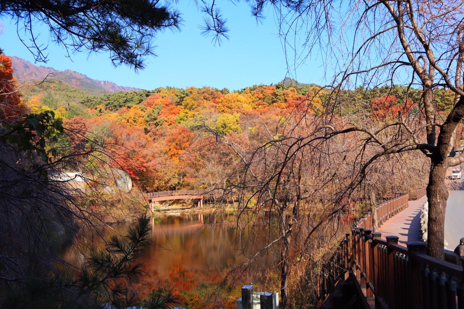 เที่ยวแดกู