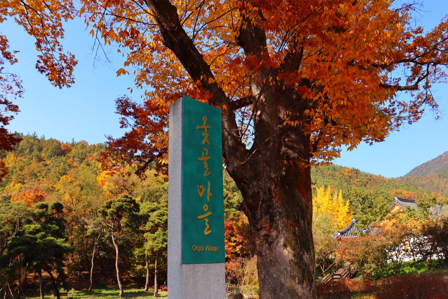 大邱 推薦 賞楓景點