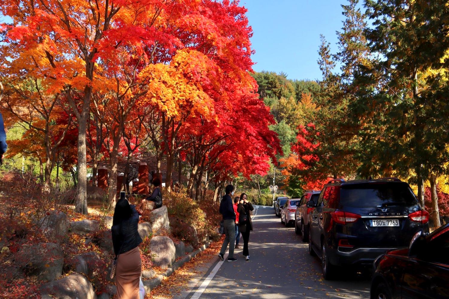 เที่ยวเกาหลีด้วยตัวเอง