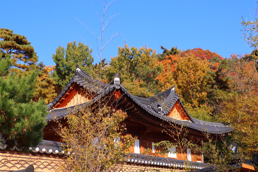 大邱 賞楓 八公山
