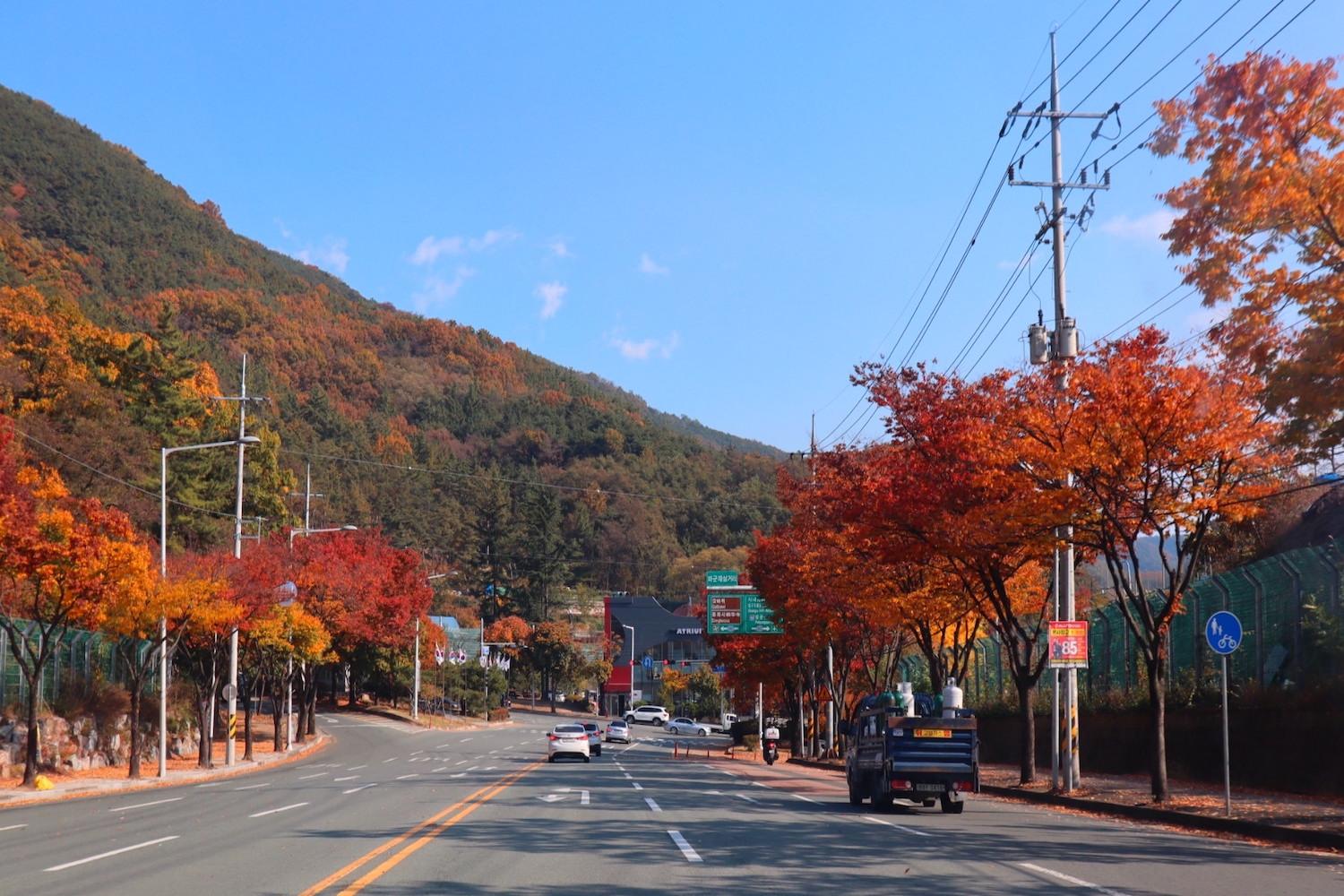 ใบไม้ร่วงเกาหลี