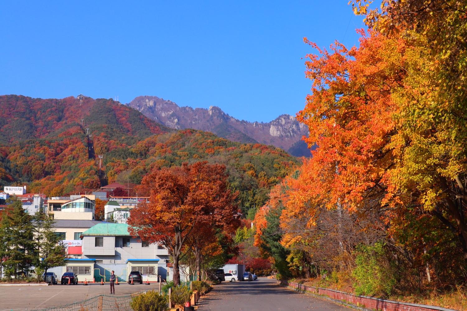 The Best Places To Enjoy The Fall Foliage In Daegu