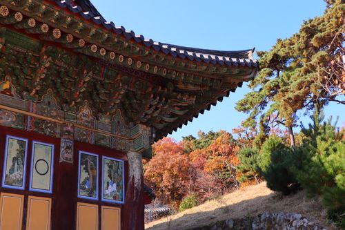 Creatrip 大邱のおすすめ紅葉スポット