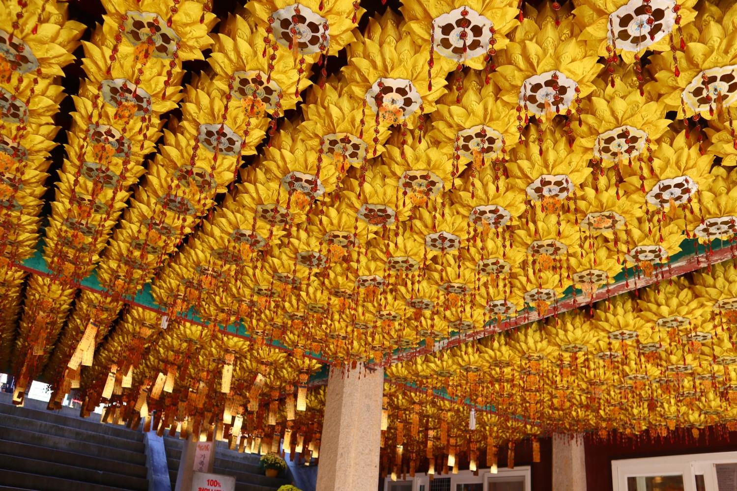 เที่ยวแดกู