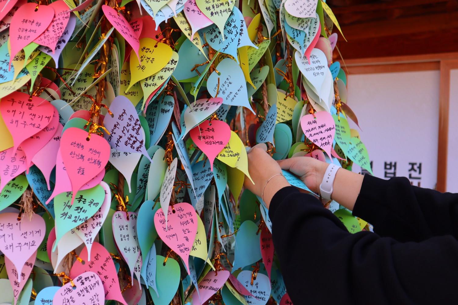 เที่ยวแดกู