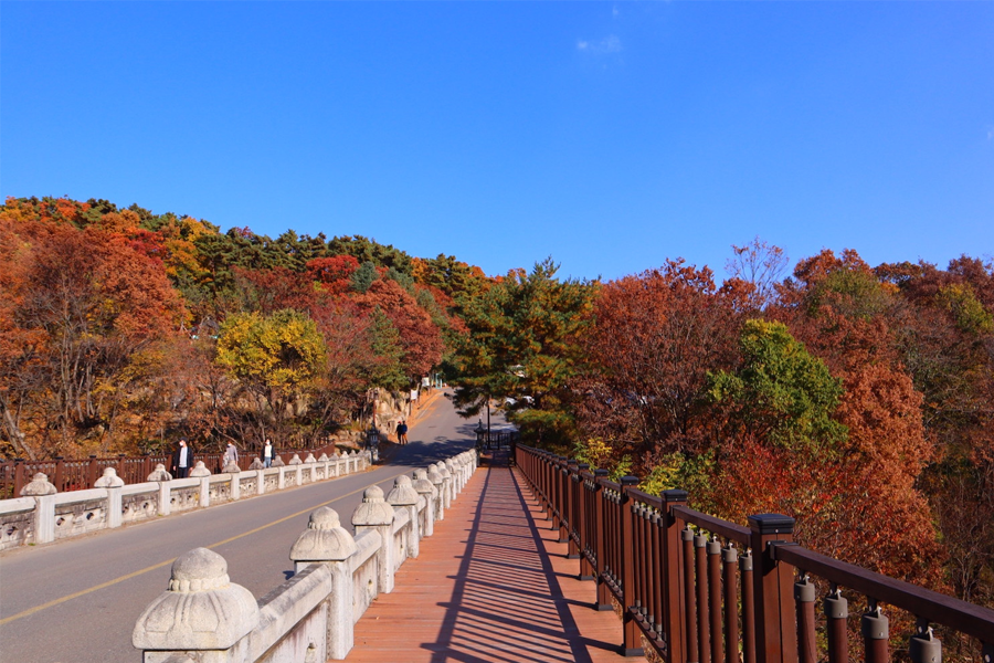 大邱賞楓 景點推薦