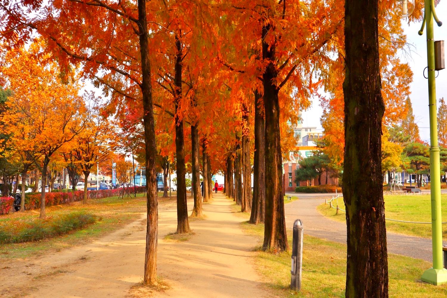 ฤดูใบไม้ร่วง