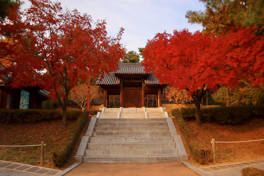 韓國 推薦 賞楓 2025