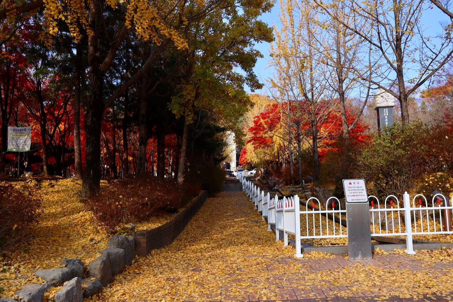 เที่ยวเกาหลีด้วยตัวเอง