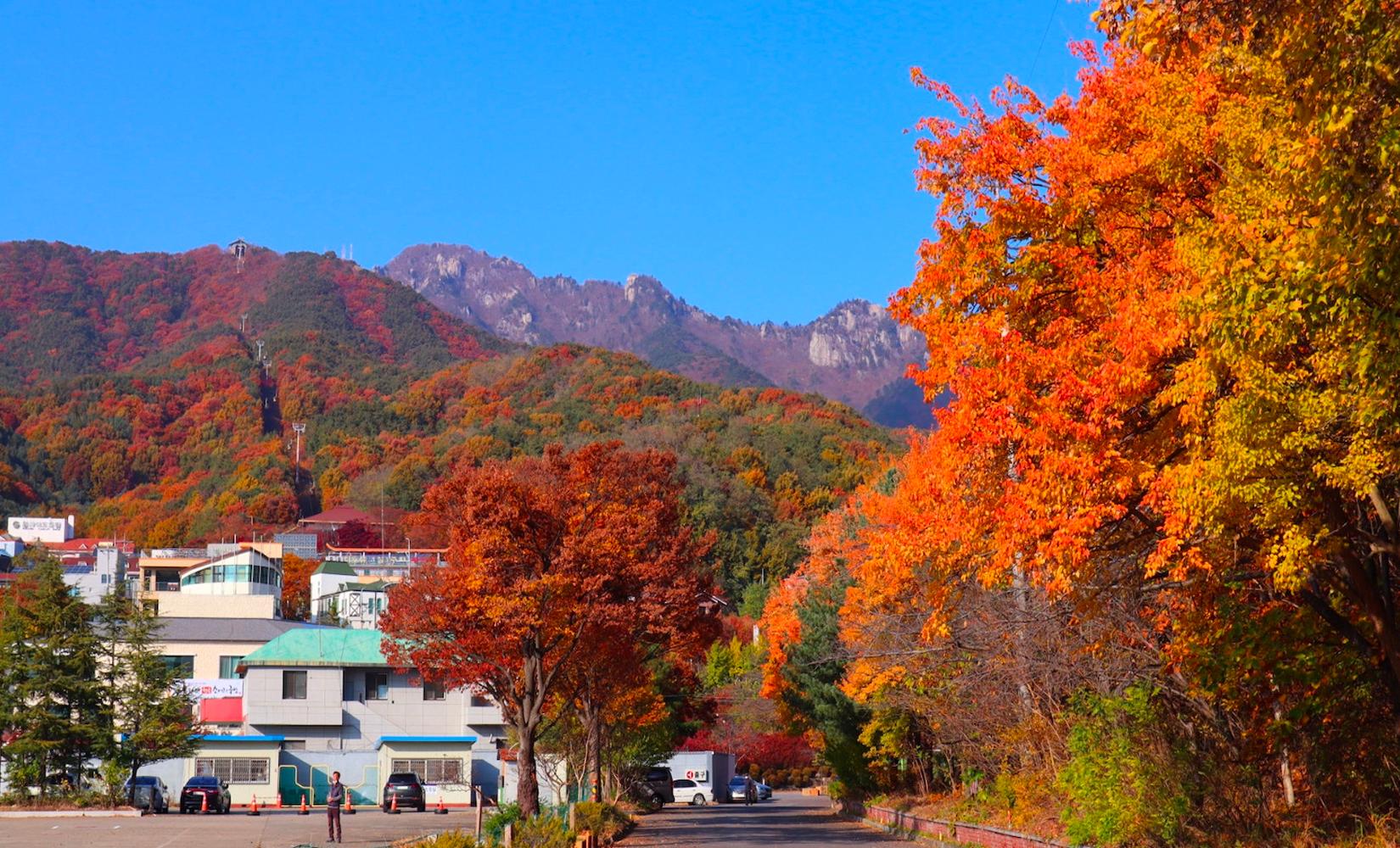 大邱賞紅葉景點推介