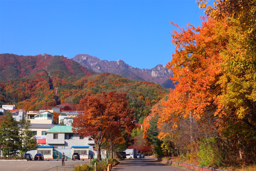 大邱楓葉景點 2025 推薦
