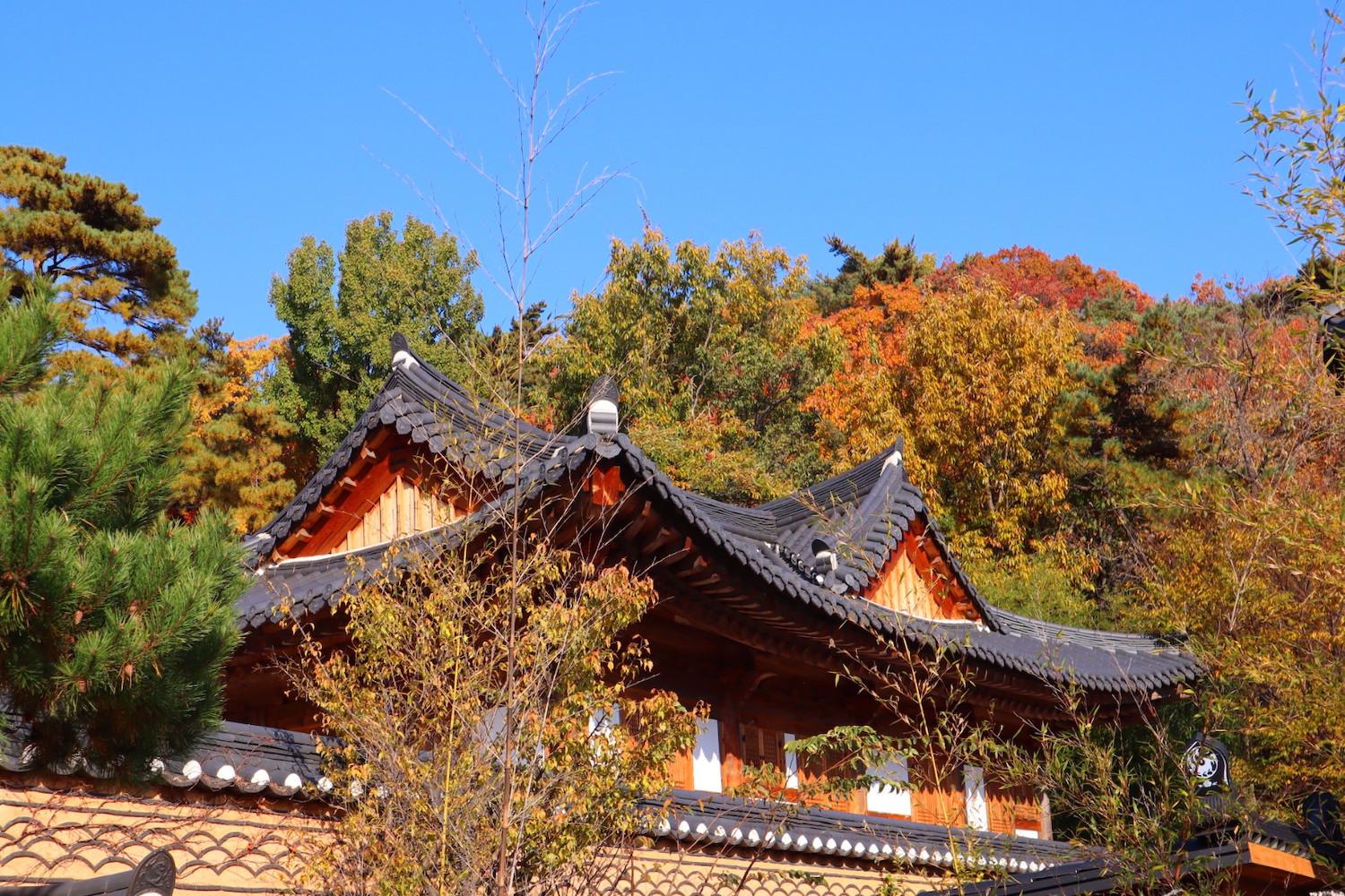 เที่ยวแดกู