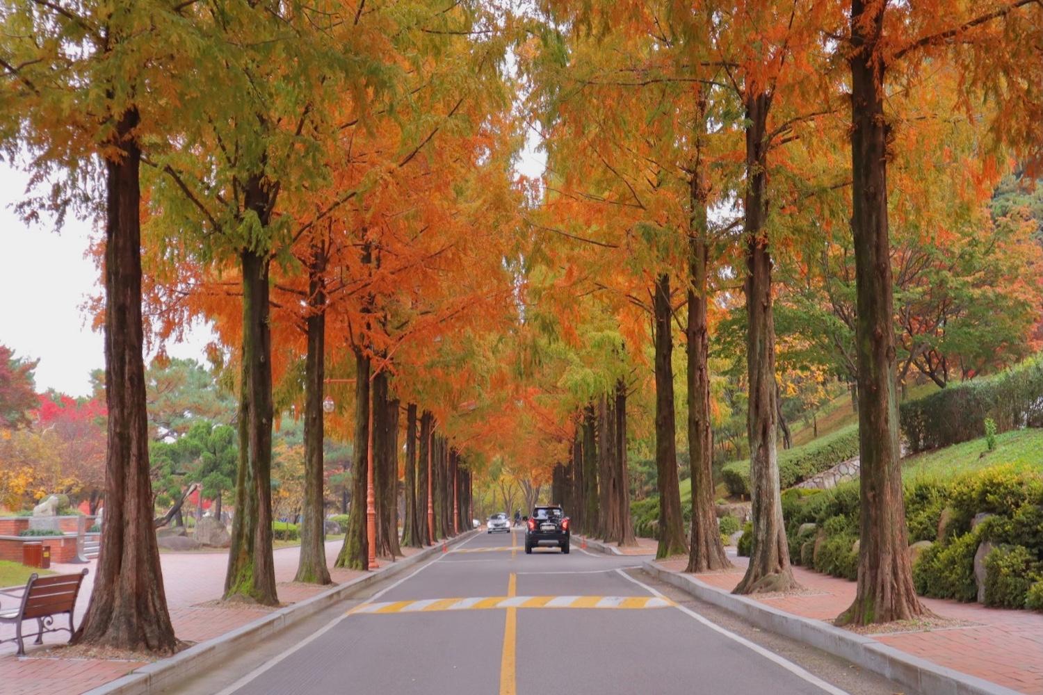 มหาวิทยาลัยเกาหลีสวย